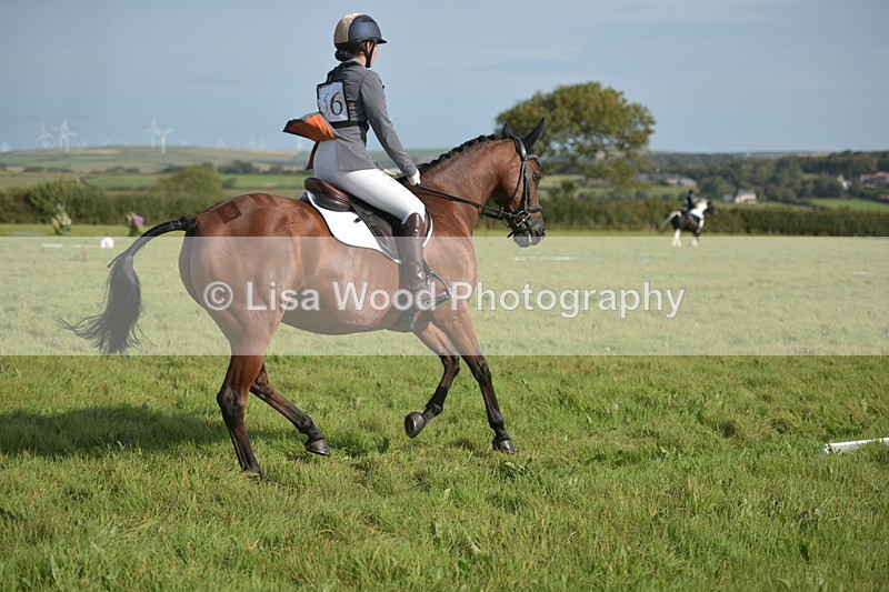 RAY_7570 - Class 2B: Trekenning Open: Dressage