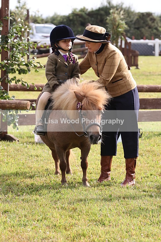 JPP_0331 - Class 14: Cornish Combination Leading Rein