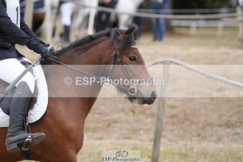 250820A-095623-02192 - Round 2, 9.45 to 10.45 Break