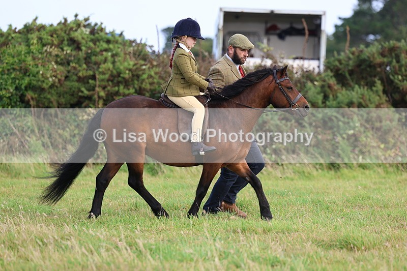 3E7A3560 - Class 2: Lead rein