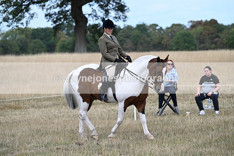 WJ7_5401 - Class 12 Ridden Cob