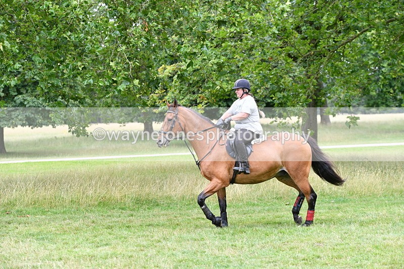 WJ5_3113 - Time at Jump 14:47 to 15:17