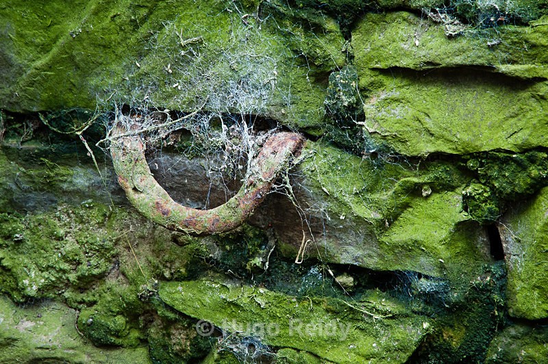  - Stand Still In Time