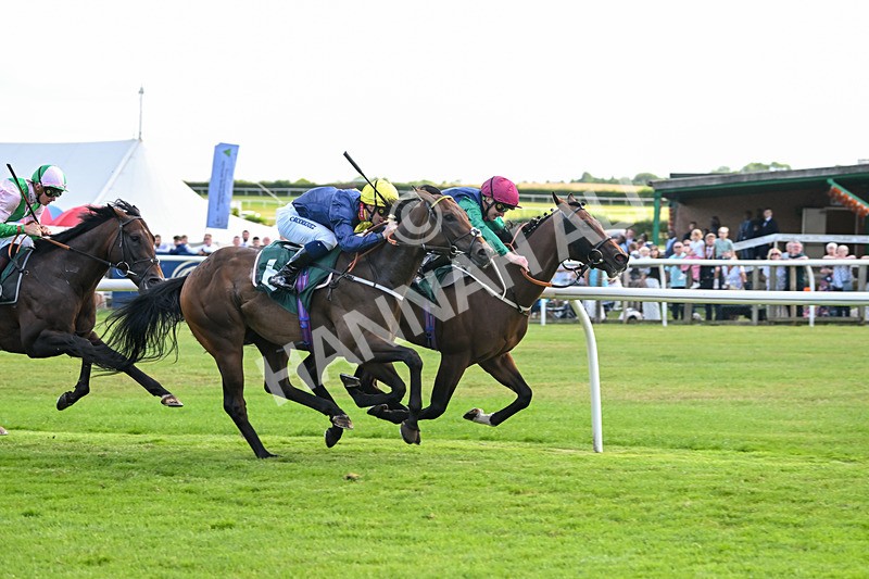 160725-Race 5-Chuti Manika-9306 - Race 5