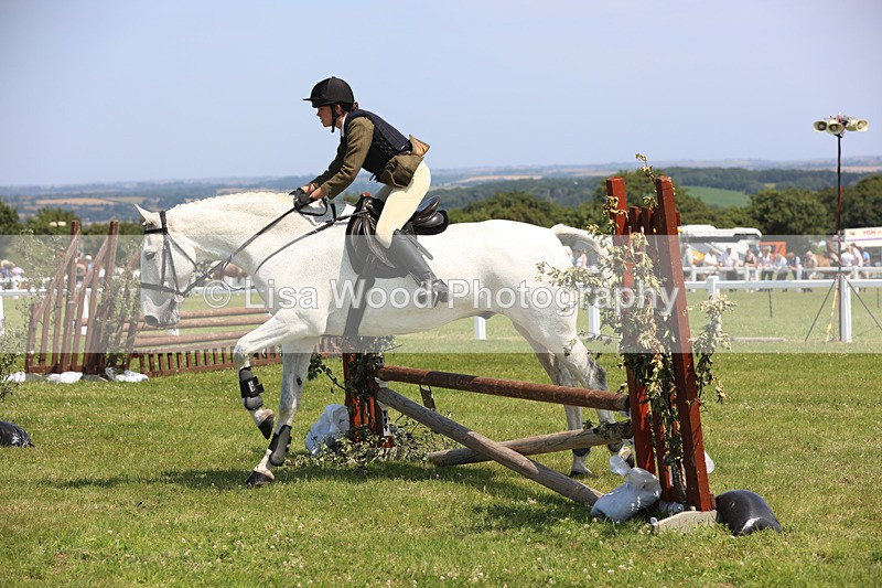 JPP_3174 - Class 22: Working Hunter 70cm