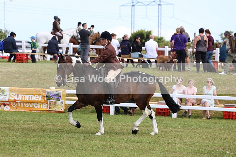 3E7A9968 - Class 5: Rising Star Lightweight/Heavyweight Cobs