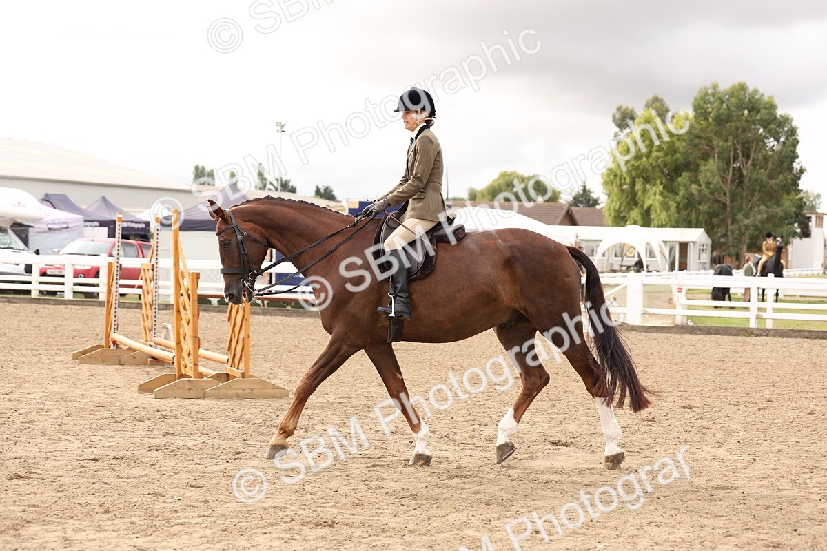 SBM_02823 - Class 53 - Ridden Competition Horse/Pony