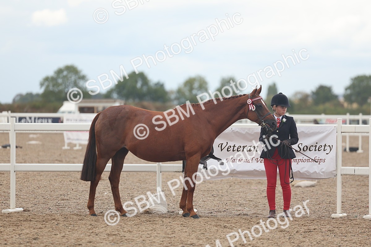 SBM_08444 - Class 29 - IH Veteran Pony