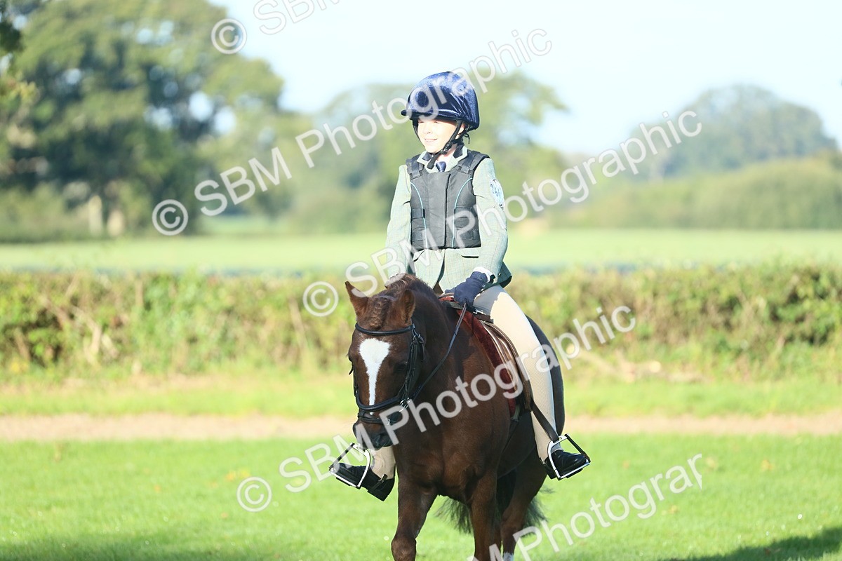 SBM_33405 - S28 - Nursery Stakes Working Hunter Pony