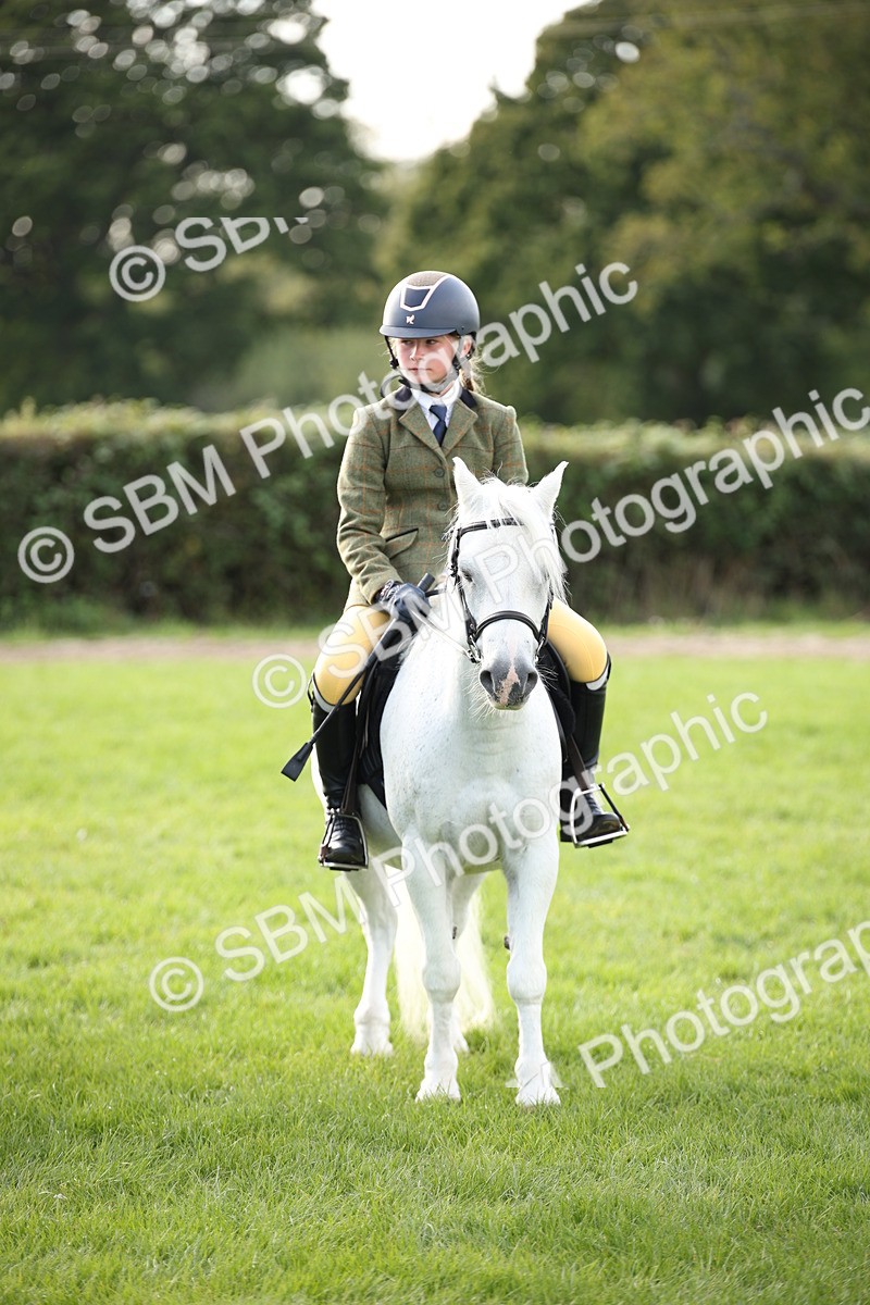 SBM_54265 - S27 - Mature Veteran - Ridden