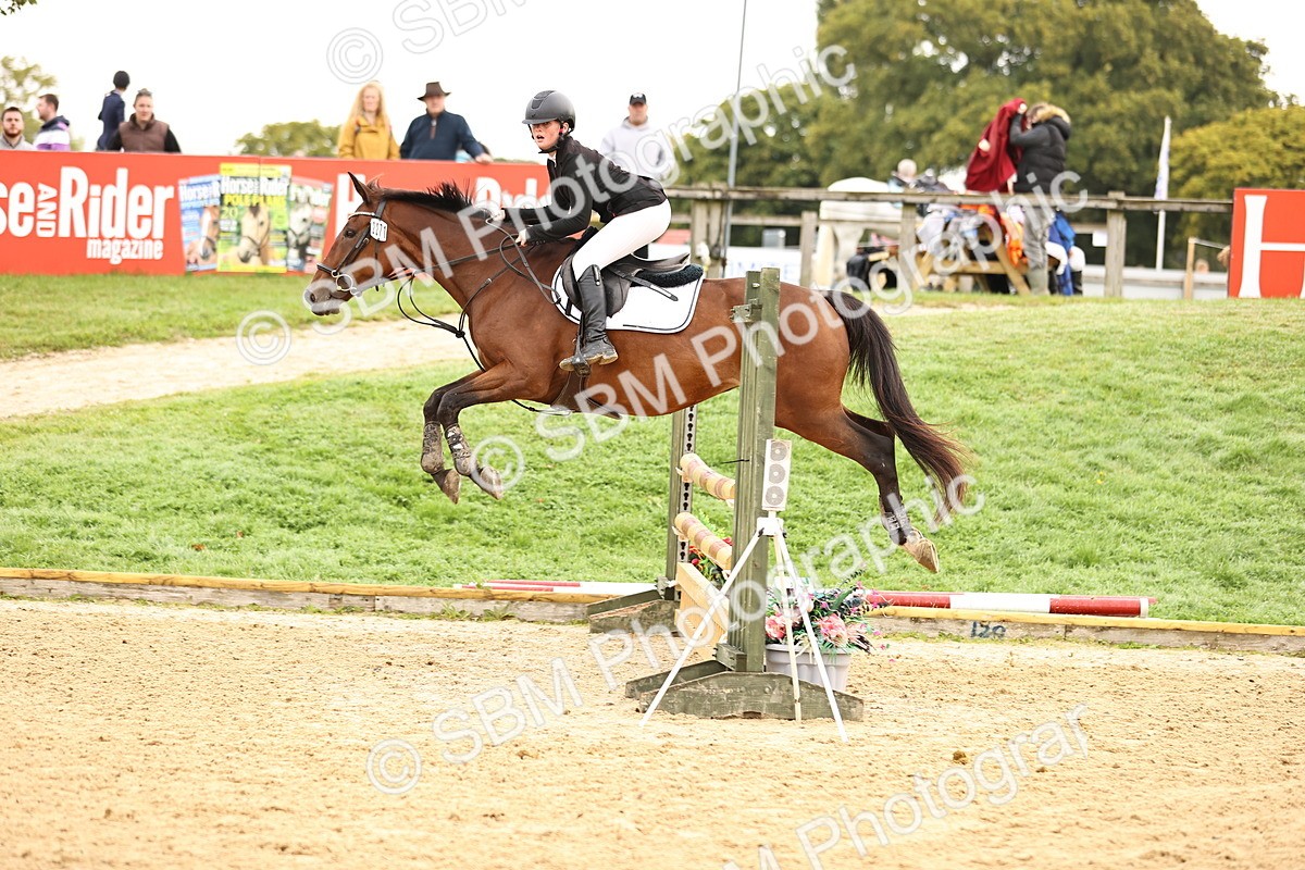 SBM_58317 - J41 - Grand Tour Horse & Pony 95cm