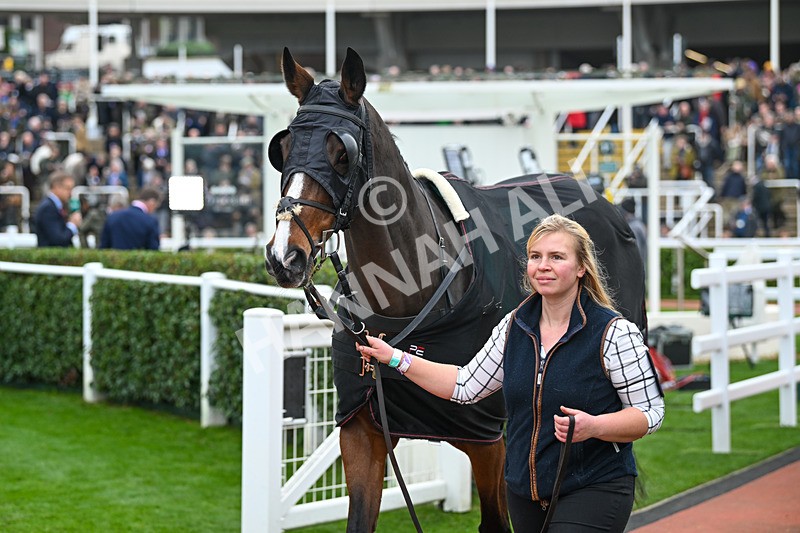 161124-Race 2-Paddock-Deise Aba-9416 - Race 2