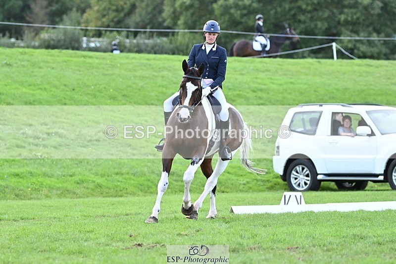 231020-145319-11013 - 669-FOXRIDGE.HIGH.JINX-Claire.Deuten-DR