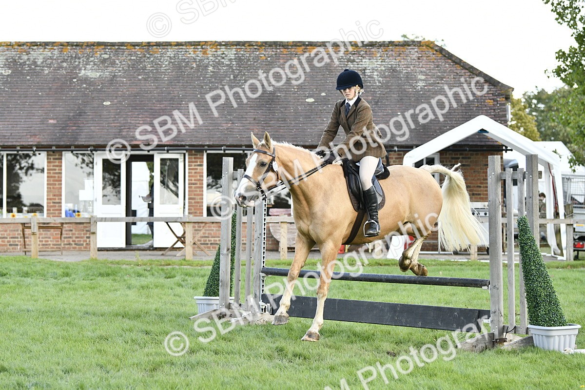SBM_49950 - S34 - Novice & Newcomers Working Hunter