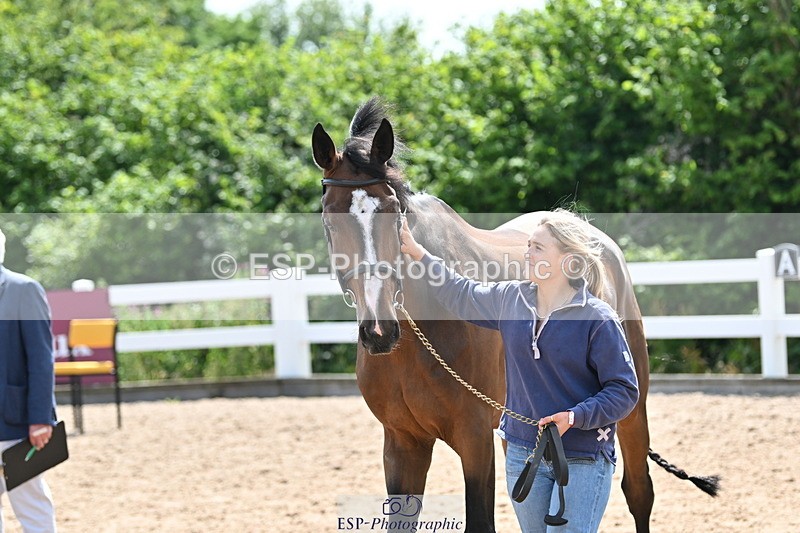 240717A-150955-02595 - Trot Up 3pm to 4pm