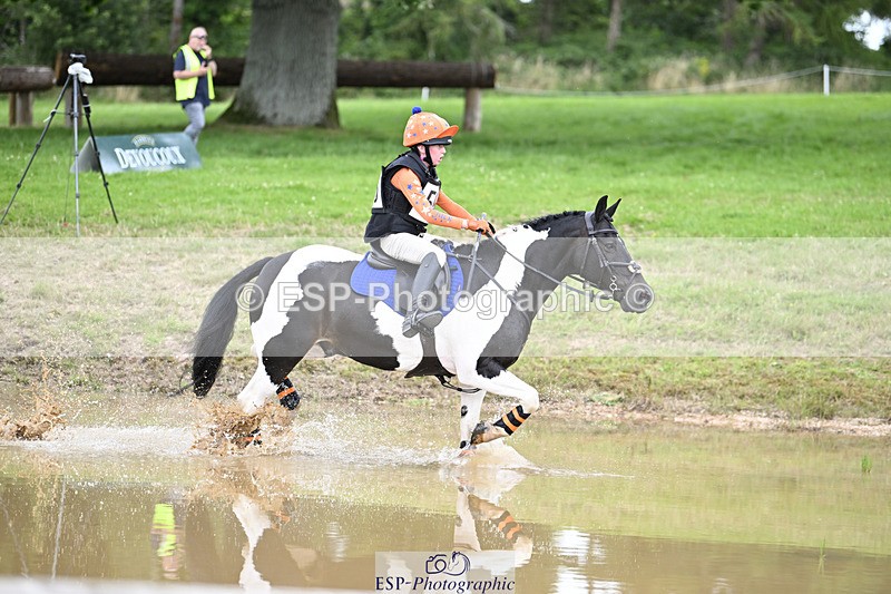 240804-144430-15443 - 555-Jack_Wish-WESTERLAKE_BUTTONWEED