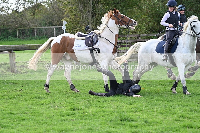 WJ7_8285 - Time 12:12 to 12:37