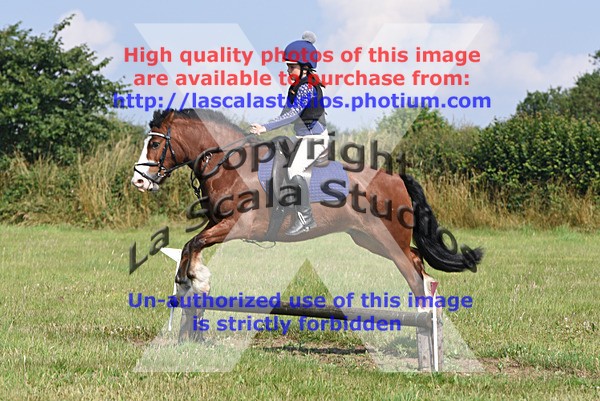 SNCP_0174 - N Group