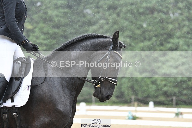 240720-093633-03535 - 274-Paige_Beattie-Orcaber_Dark_Secret