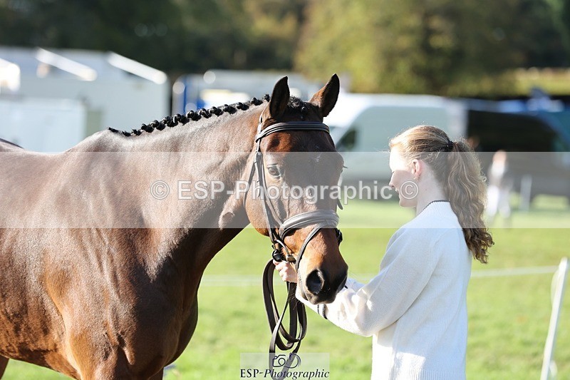 241027-101032-15732 - 518-Carla.Williamson-POWERS