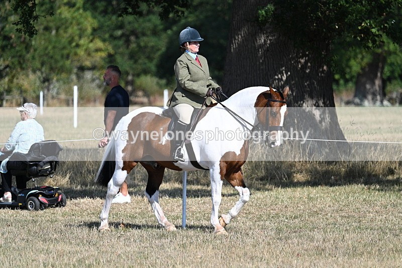 WJ7_3121 - Class 8 Ridden Tack & Turnout