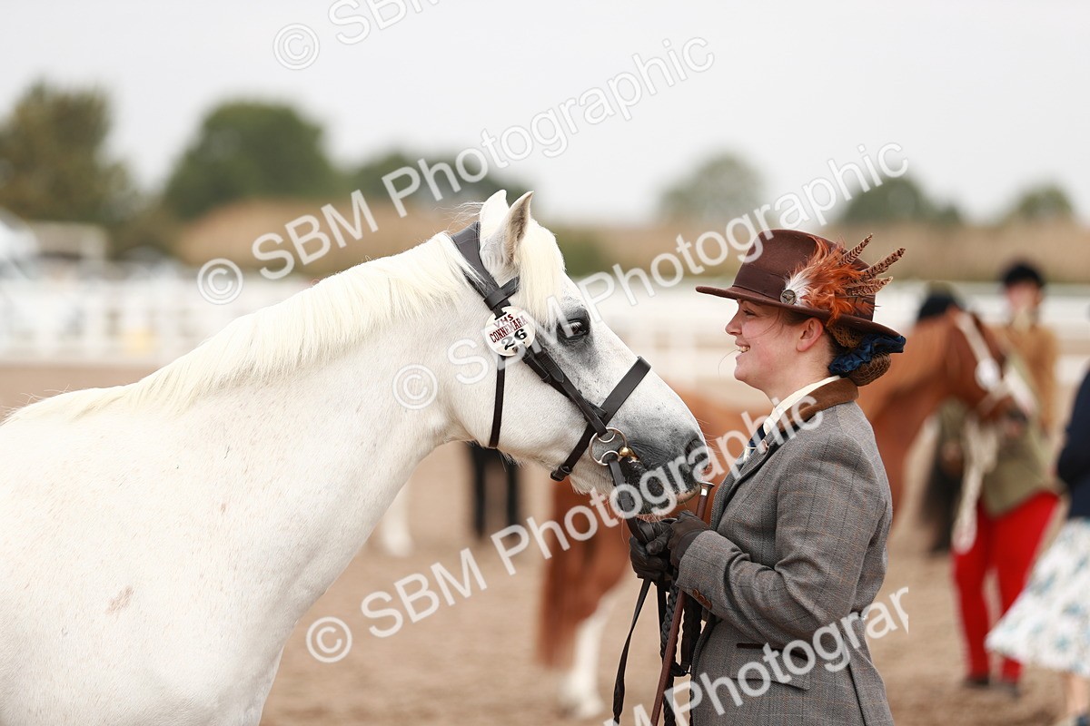 SBM_12539 - Class 207 IH M&M