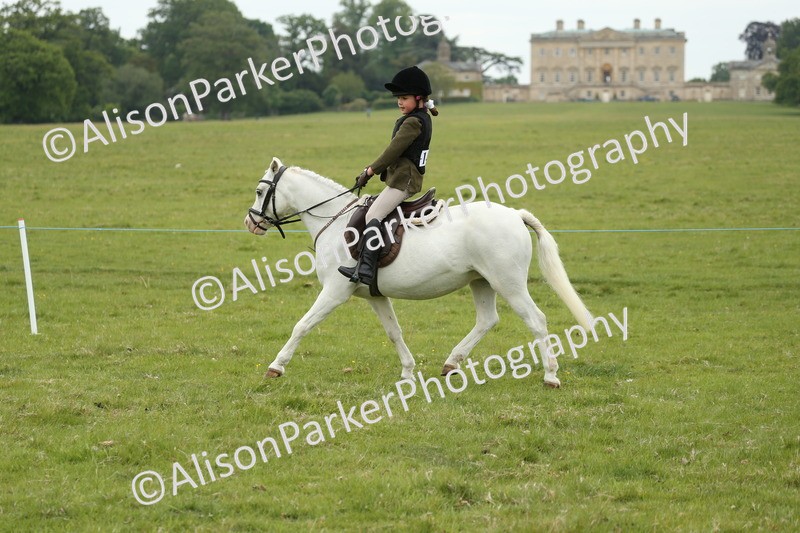 20250517-0413 - Class 20 - Beginners Working Hunter