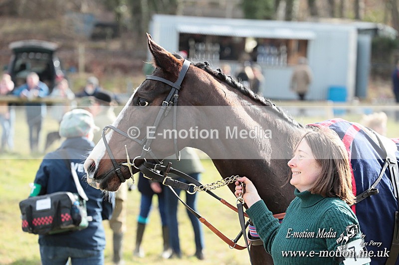 PtP 220225 423 - Kimblewick Point-to-Point  Kingston Blount 22/02/25
