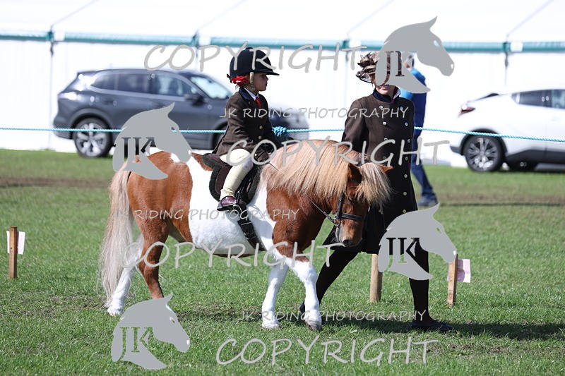 APP_3793 - Class 13 Lead rein