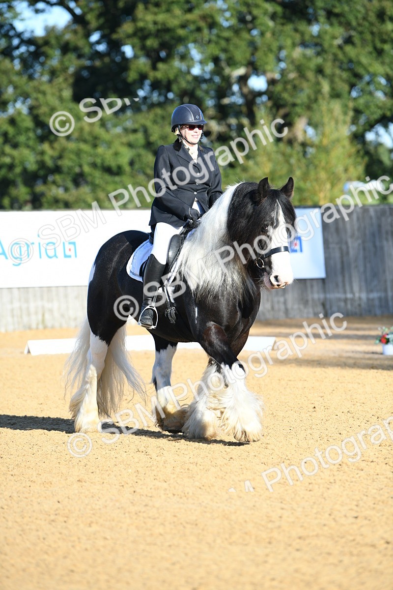 SBM_14453 - D4 - Small Tour Championship - Intro B
