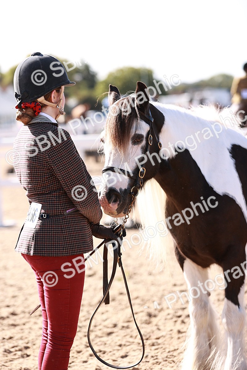 SBM_12610 - Class 404 - IH Traditional - Native Cob