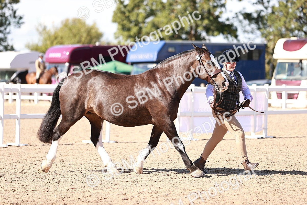 SBM_13223 - Class 405 - IH Show Cob
