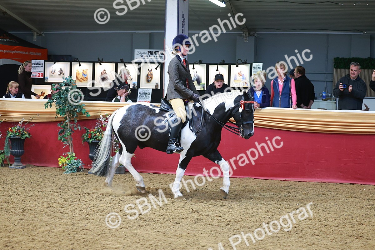 SBM_12727 - Class 103 - HOYS Veteran Qualifier - Ridden Pre Vet