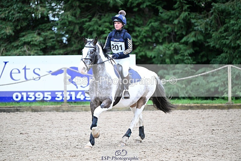 241116-114557-01105 - Cls 2 80-85cm 11.30 to End