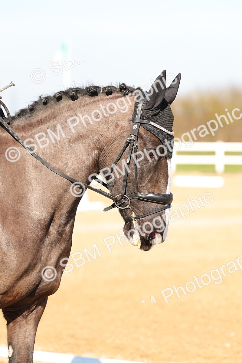 SBM_001492 - Class 2 - P1-70cm