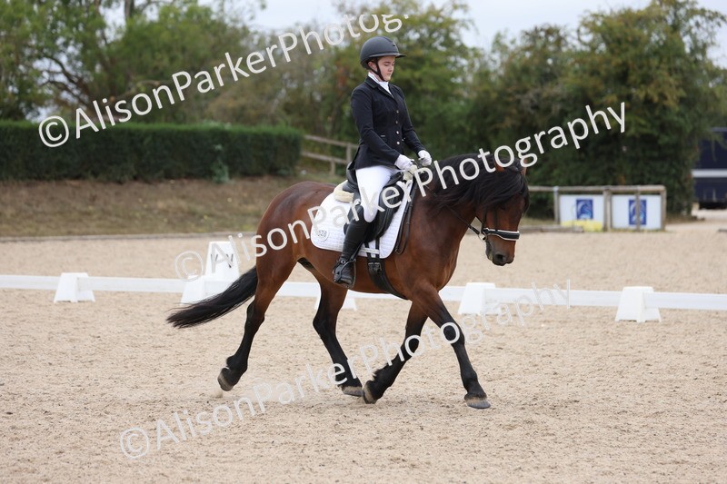 20250820-1102 - Class 17 - Elementary 4