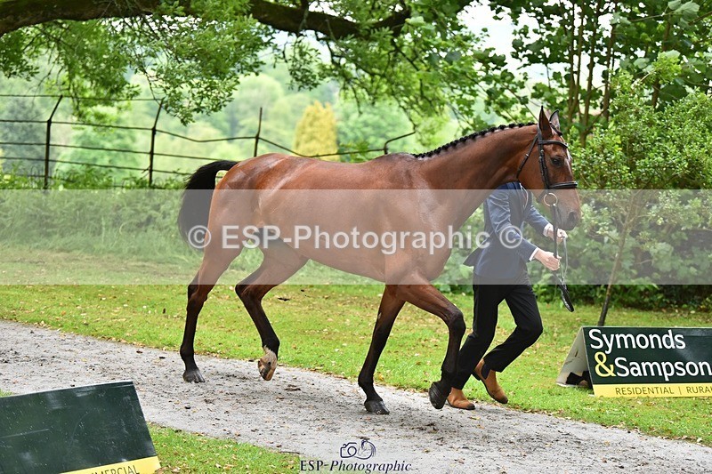 240522-160414-00692 - 151-GEORGINA_W-Elizabeth_Barratt