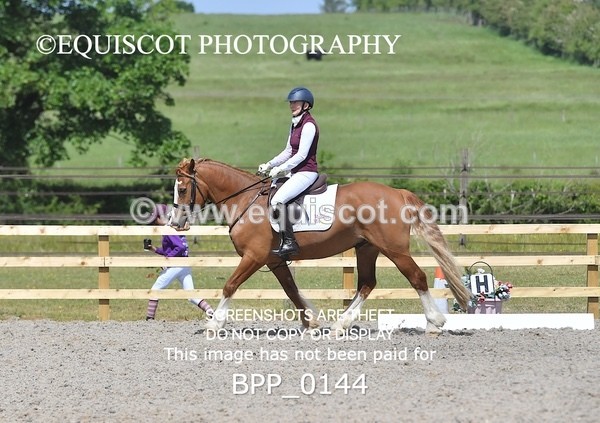BPP_0144 - SHORT ARENA  MY QUEST PRELIM