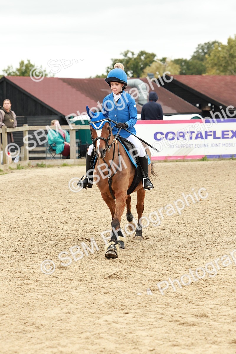 SBM_67166 - J13 - Junior Pony 60cm Championship