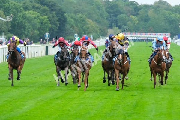 080925-Race 2-Alzahir-7825 - Race 2 3.00pm Sky Bet Super Sub Sprint Handicap