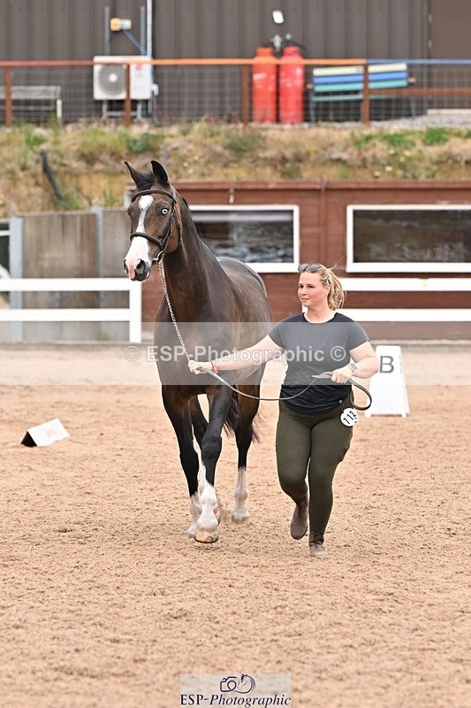 250716-144726-01397 - Trot Up 2.30 to 3.30