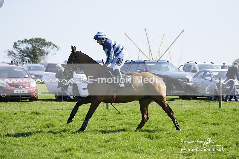 PtP 190322 177 - Wilton Hunt PtP Milborne St Andrew 19/03/22