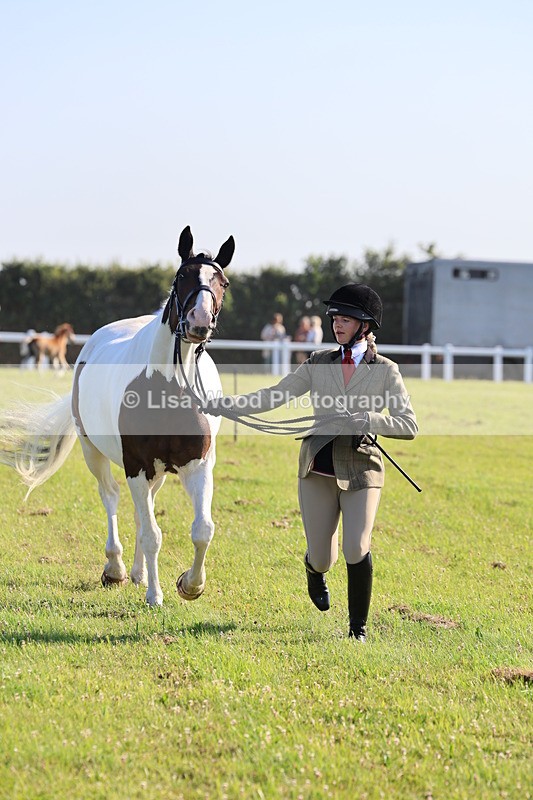 IMG_1309 - Class 27: Ridden Plaited Coloured Horse