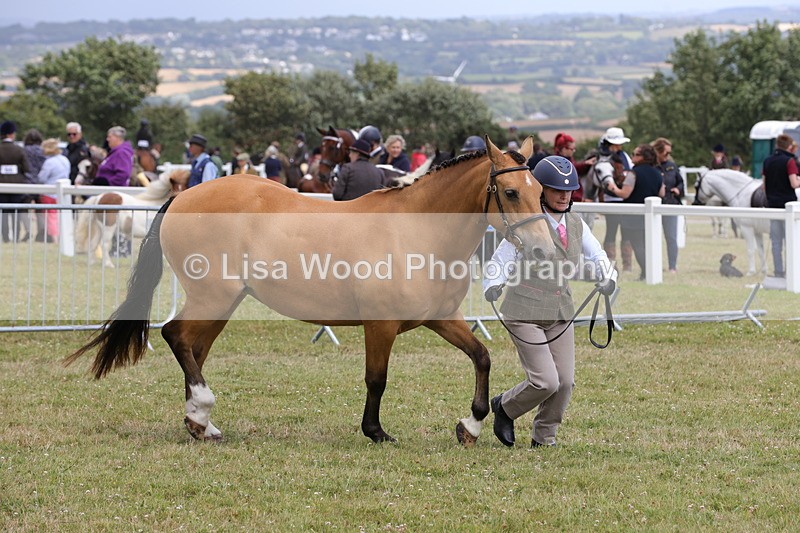 1X9A4915 - Class 35: Veteran In Hand