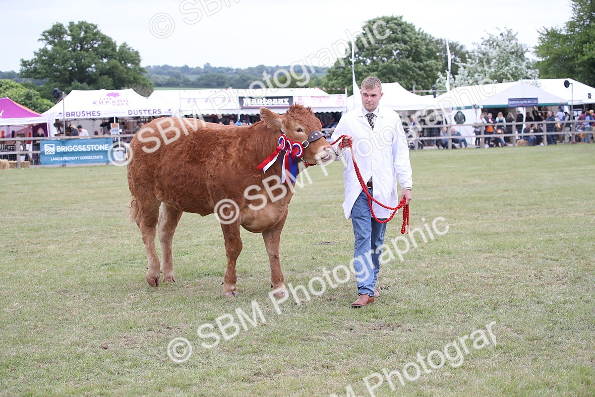 SBM_07920 - Grand Parade
