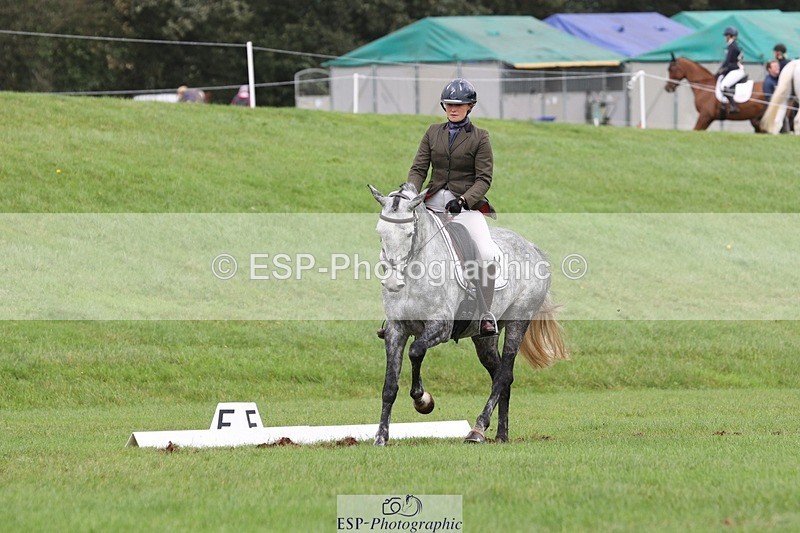 231019-153032-04904 - 553-HARLEQUIN.RABBIT-Althea.Bleekman-DR