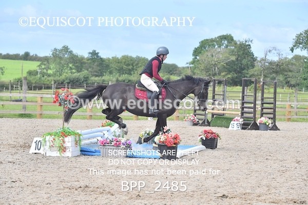 BPP_2485 - DERBY CLASS 7 - 80CM