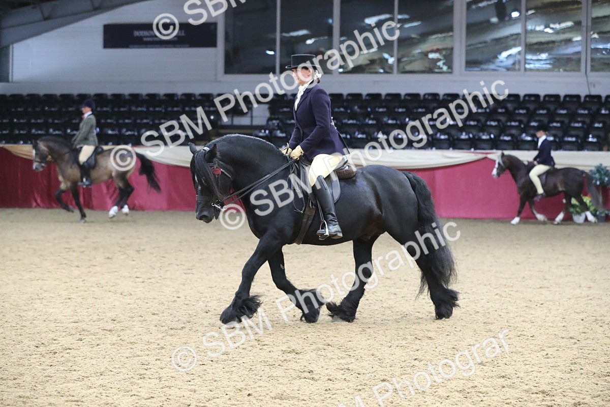 SBM_16375 - Class 502 M&M Ridden Supreme Final