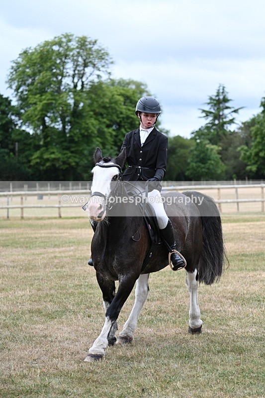 WJ7_0316 - Class 2 Best rider