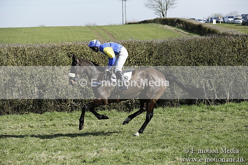 PtP 250317 193 - V.W.H. Hunt Point-to-Point Siddington 25/03/17